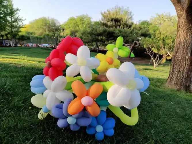 蓄谋已久气球花扎的手疼