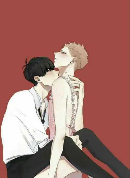 贺天家的小毛球～终于写到表白了啊!