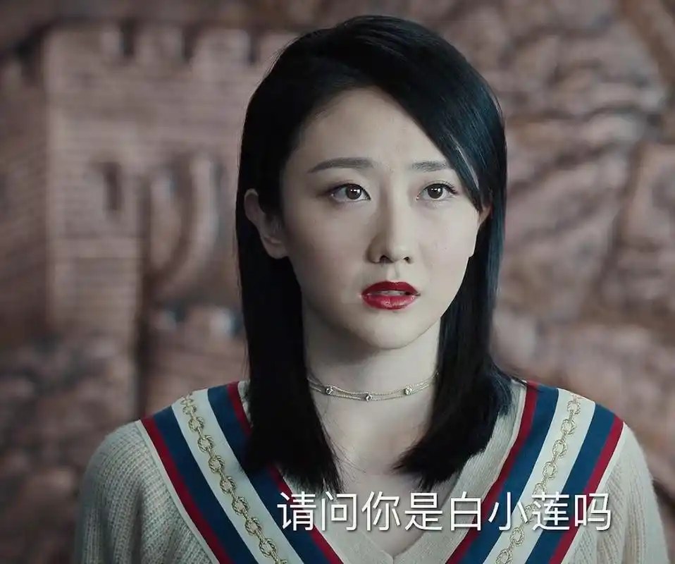 巡回检察组至暗时刻冯森被抓郑锐调岗罗欣然工作暂停