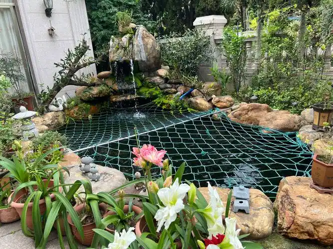 锦鲤鱼池设计需要注意什么?