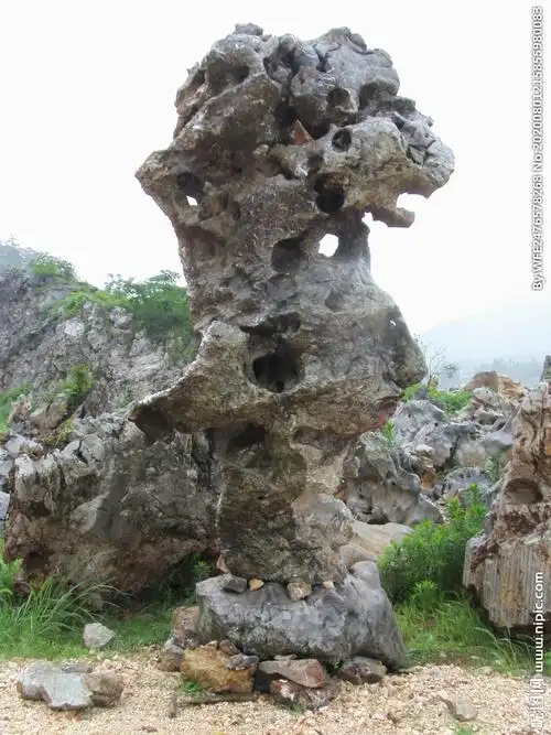 石头假山图片