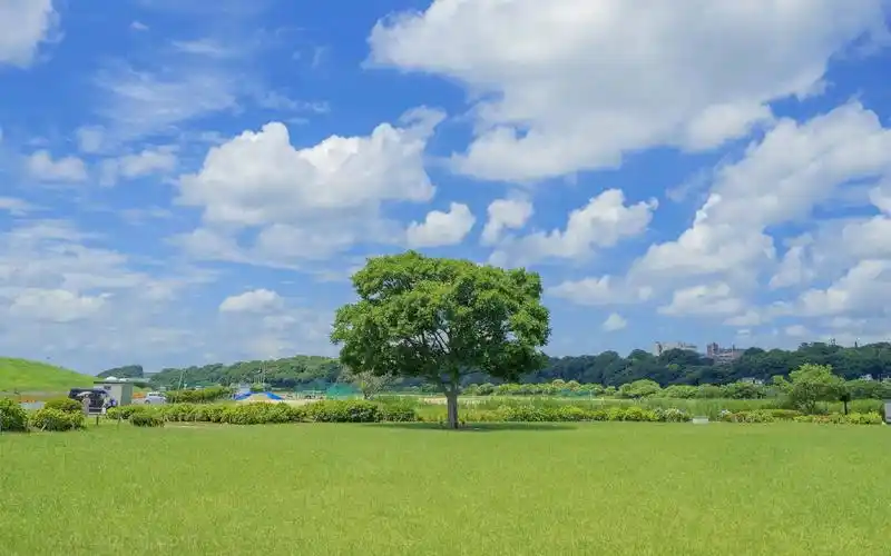 日本夏日风光网红ins潮图壁纸