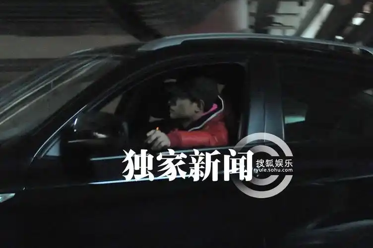 组图:文章穿大花线条裤外出 地库内抽烟耍酷