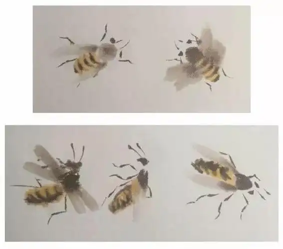 杨秀华国画网络课第十一节《蜜蜂的画法》 写美篇杨秀华 中国工笔画