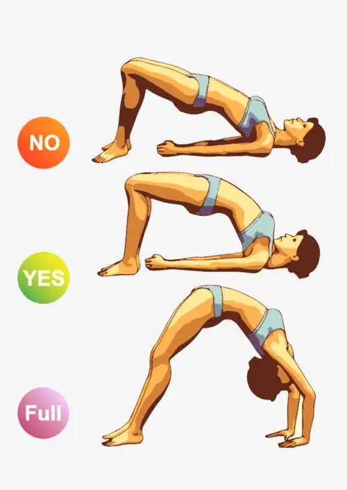 矢量瑜伽正确动作示范