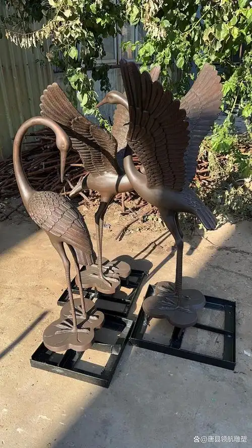 鹤,生活在东北亚,是国家保护动物,体态优雅,色彩鲜艳.