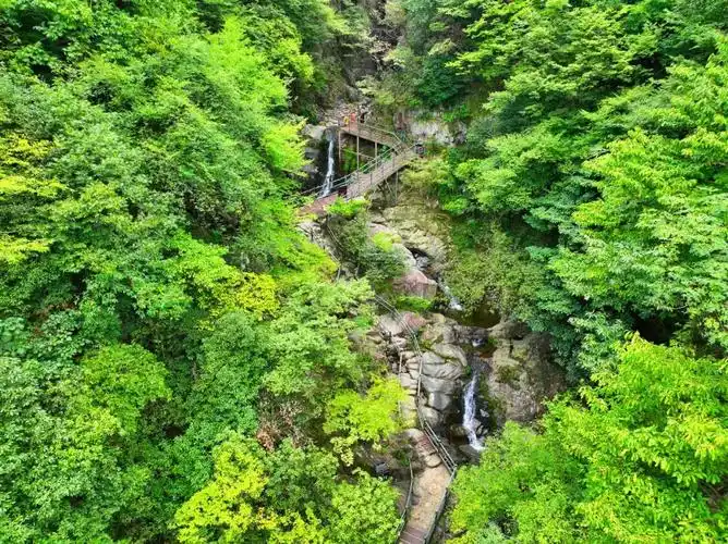 西九华山┃慢生活轻享受享秋意森态康养