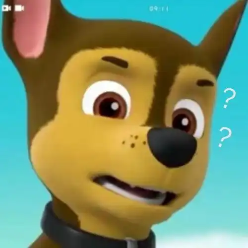 汪汪队之夜空的那颗星