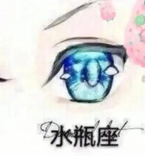 十二星座超美眼睛下