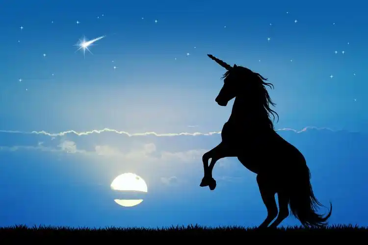 独家解读独角兽估值背后的条款