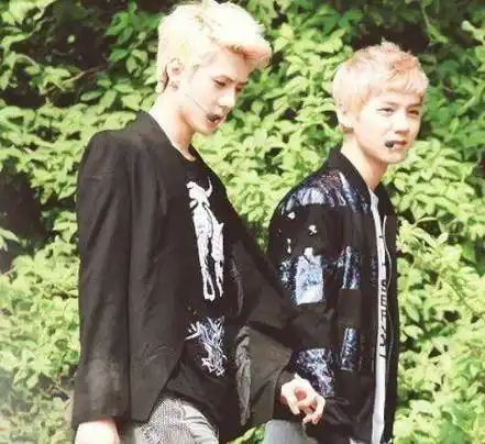 国产剧出现鹿晗与吴世勋的同人文粉丝真的接受不了