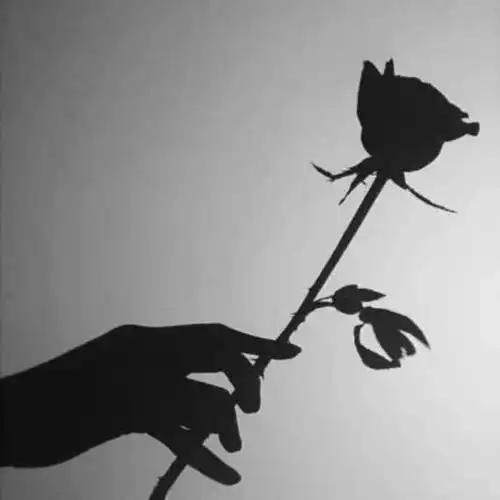 头像个性简约高冷有品位