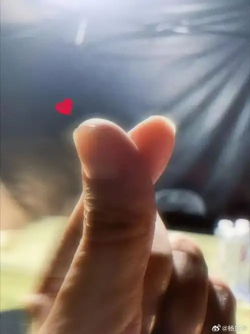 第二十条主创比心感谢观众##第二十条票房破20亿