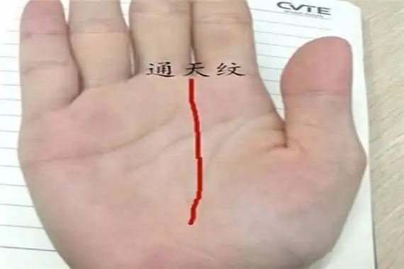 发大财的女人手相特征 女人有通天纹意味着什么呢