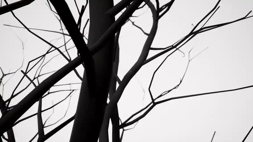黑白意境树枝