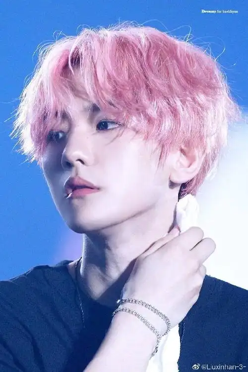 边伯贤亚洲巡演##边伯贤