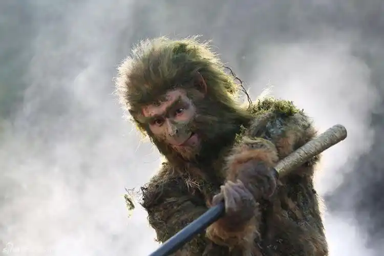 新浪娱乐讯 新版《西游记》剧照除已经曝光的几组金毛"紧箍咒"造型