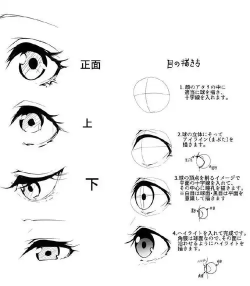 绘画参考##眼睛参考