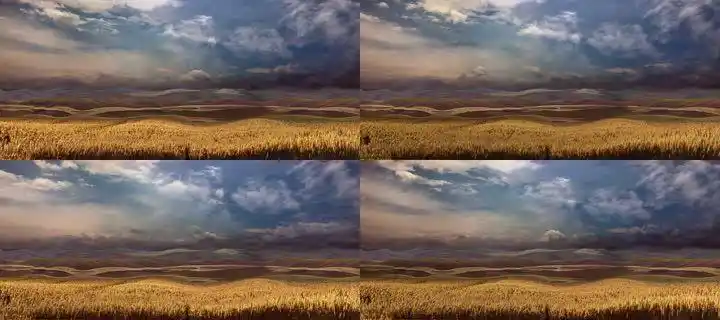 麦田田野舞台背景