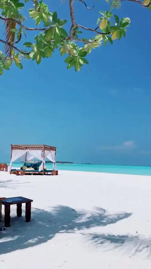 马尔代夫酒店的沙滩海景美的有点不真实