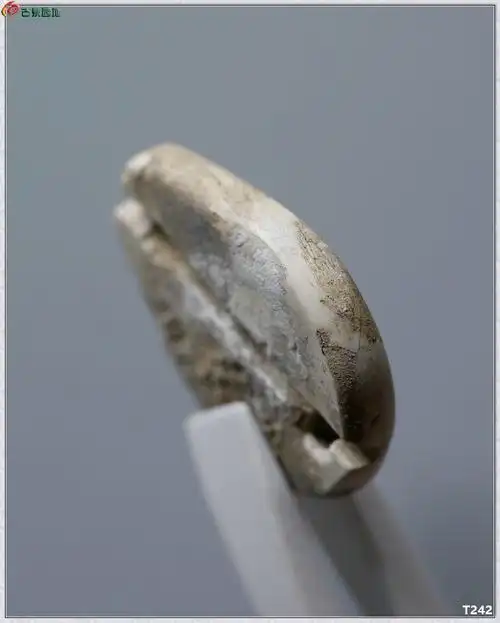 03夏家店下层文化遗物鸡骨白玉贝几枚