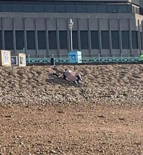 英国情侣在海滩负距离接触被拍,议会:慎行,你猜不到谁会看到你