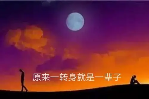 精辟的话一一原来一转身就是一辈子