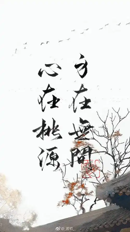 字- 堆糖,美图壁纸兴趣社区