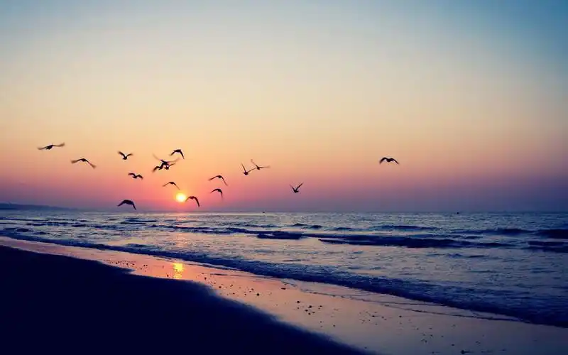 唯美自然风光小清新浪漫沙滩高清桌面壁纸(二)