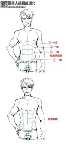 3【男性腹肌】如何画出诱人的男性腹肌~还有漂亮的人鱼线哦!