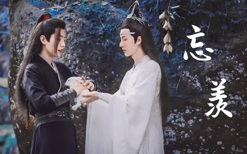 【陈情令】忘羡 与你话尽生死酒尚温