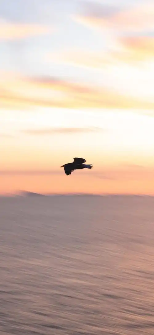 手机壁纸:高清绝美,每一张都很惊艳「50张」