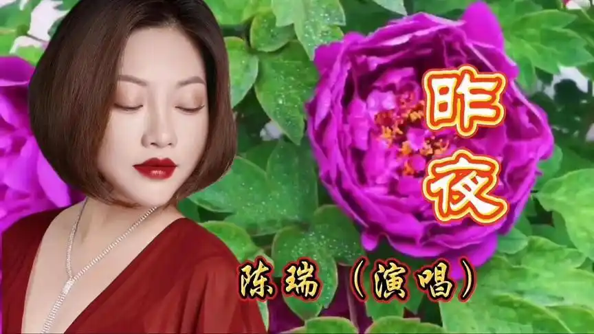 陈瑞的昨夜歌声凄婉动情唱出多少女人的心声
