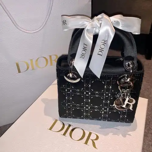 dior戴妃绸缎面水钻包