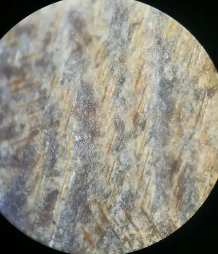 我的第一件良渚文化玉器