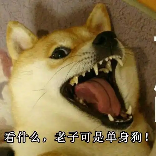 单身狗表情包
