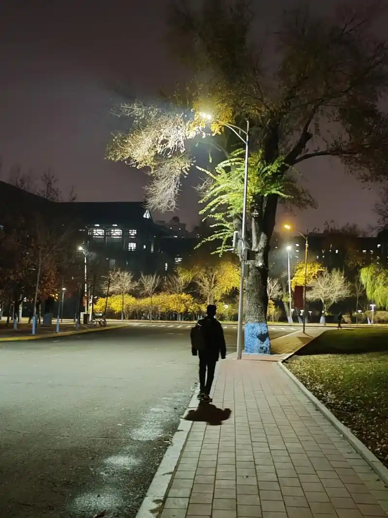 路灯下的我 #晚风很温柔 #城市的夜晚 #背影 #冬天 - 抖音