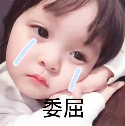 森雷滴发熊猫头野狼disco表情包