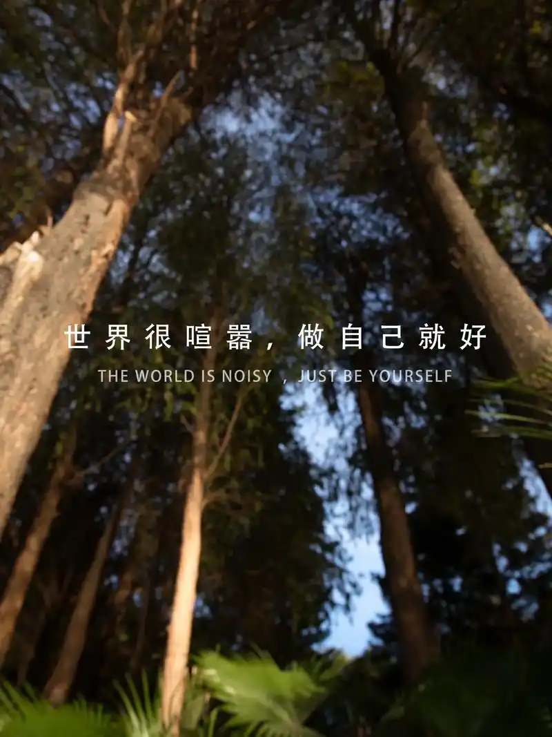 世界很喧嚣 做自己就好.在这个纷繁复杂的世界,偶尔让心灵安静 - 抖音