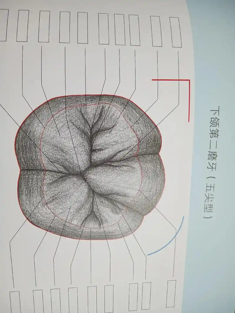 53把不忙不闲的工作做得出色  把不咸不淡的生