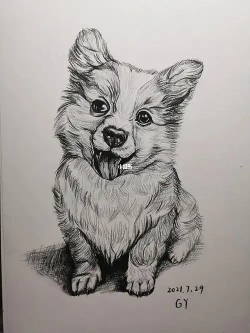 素描画  #零基础素描