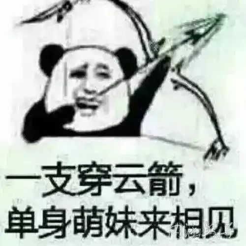一支穿云箭,单身萌妹来相见 - 斗图表情包 - 斗图神器 - adoutu.com