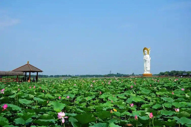 【白洋淀行程安排】07:20 东直门东方银座门口集合出发10:30 到达华北