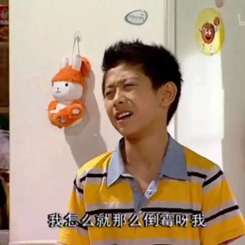 沙雕搞笑表情包!家有儿女专场