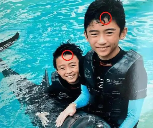 等再过几年,谢振轩完全长大后,应该会和谢霆锋越来越像.