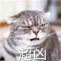 凶狠可爱猫咪头像