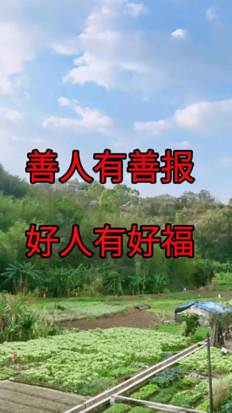 真正善良的人都是好人,好人一生平安.#抖音图文来了 #情感  - 抖音