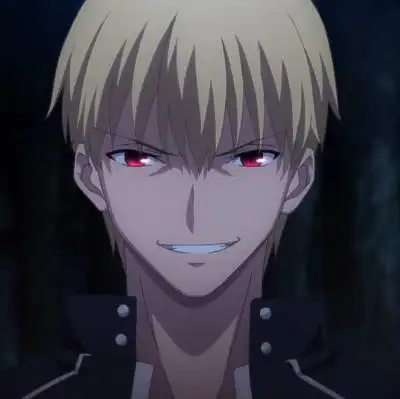 fate stay night金闪闪,渣闪,勇敢的闪闪