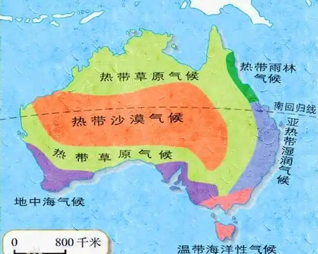 3小时射杀113头骆驼!澳大利亚农民怒了,再不杀骆驼就没水喝了!