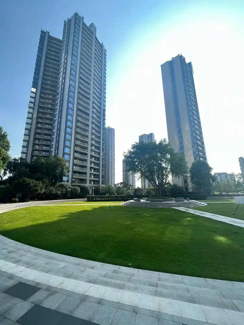 渝北棕榈泉,视野无敌,小区性价比最高!上证面积184套内14 - 抖音